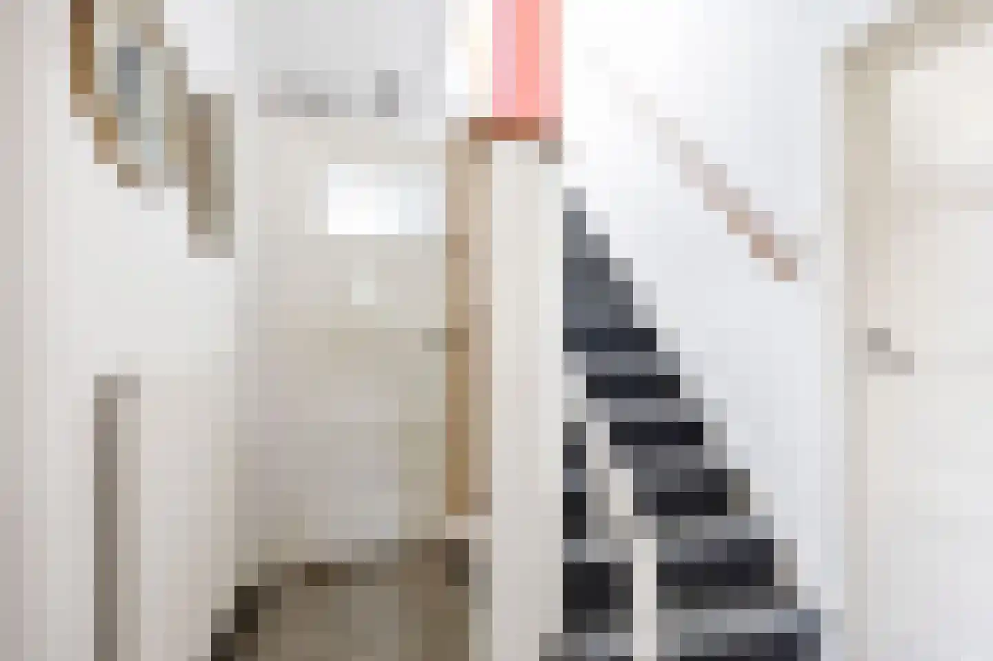 Hearewei 1 A Sexbierum thumbnail 21