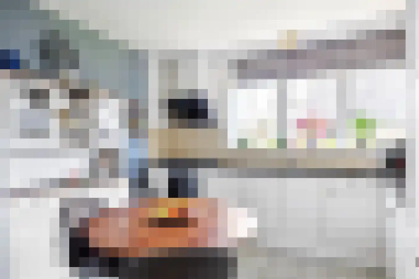 Hearewei 1 A Sexbierum thumbnail 25