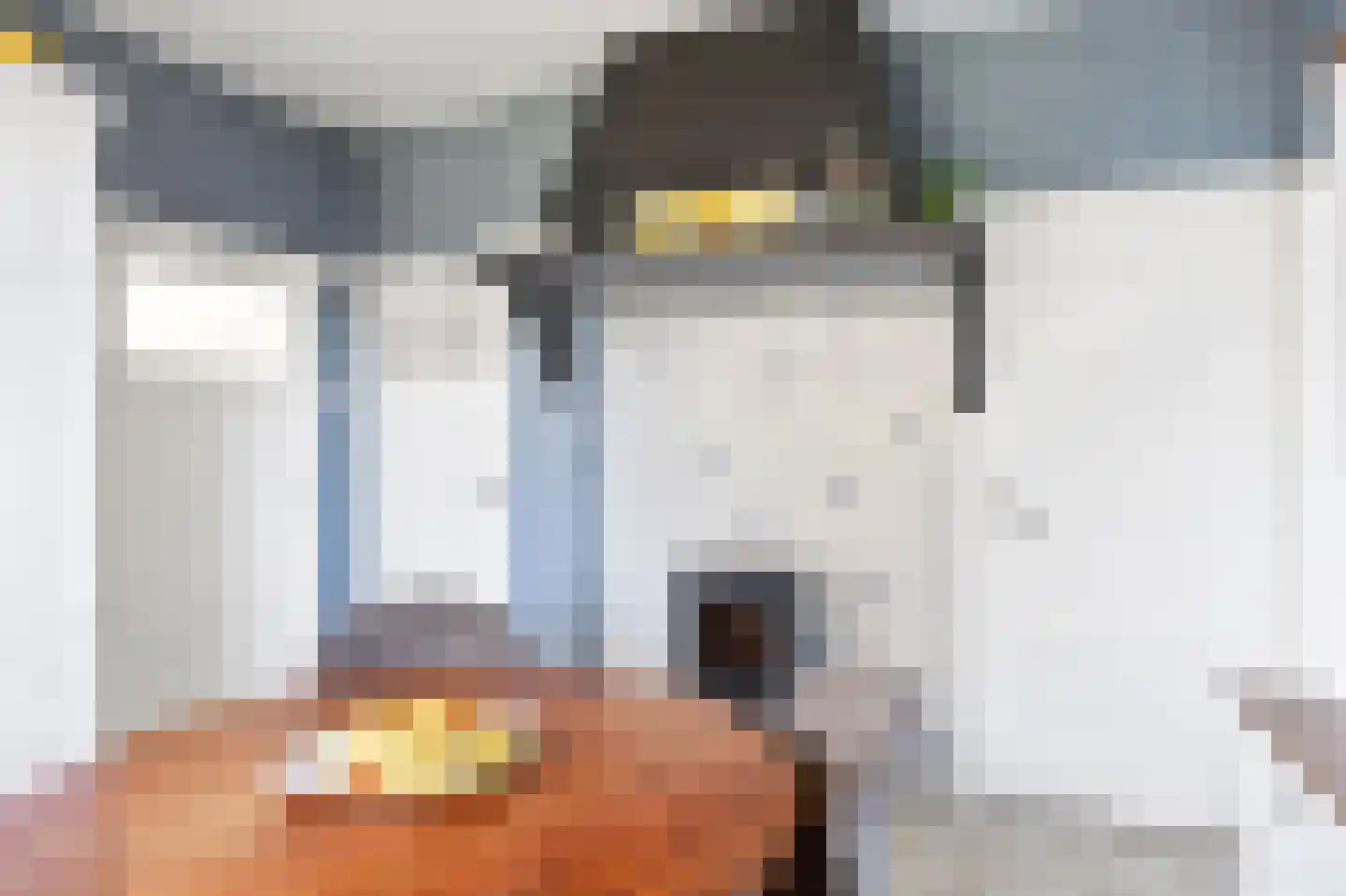 Hearewei 1 A Sexbierum thumbnail 27