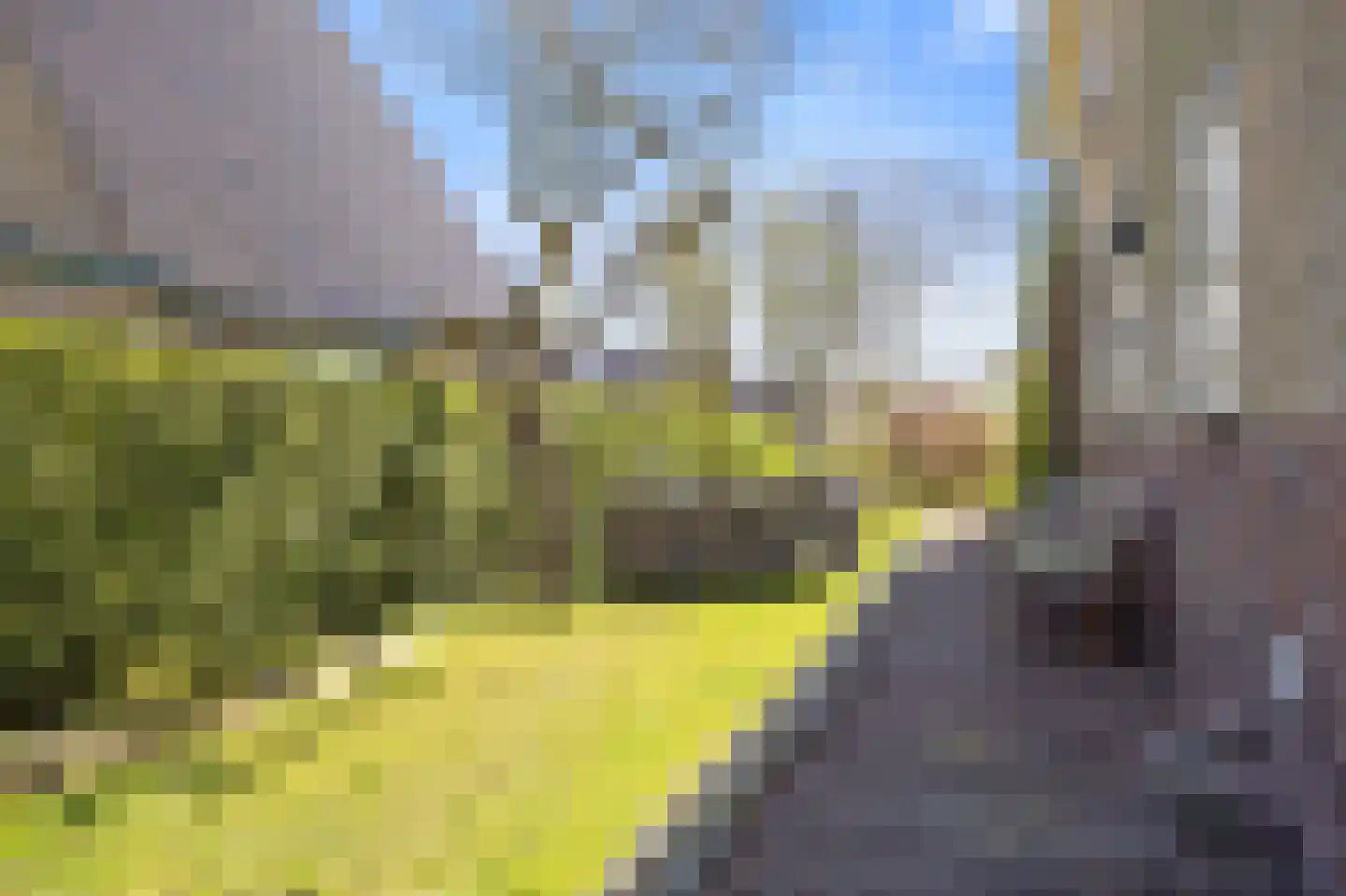 Hearewei 1 A Sexbierum thumbnail 39