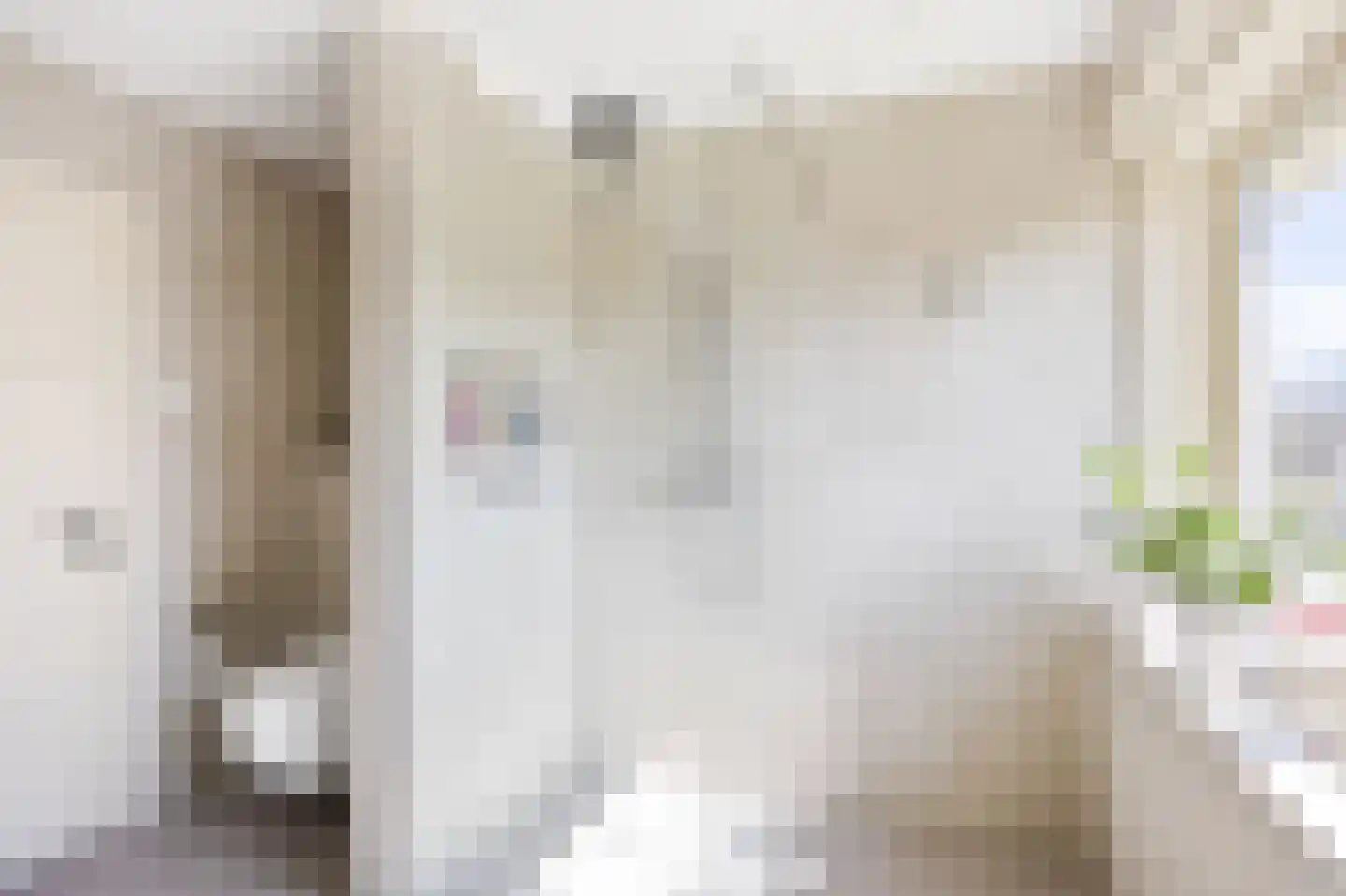 Hearewei 1 A Sexbierum thumbnail 51