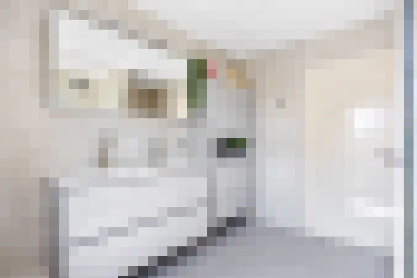 Hearewei 1 A Sexbierum thumbnail 53