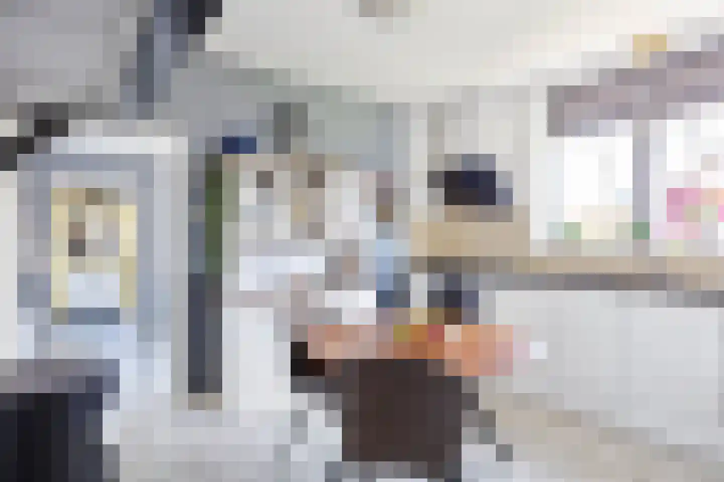 Hearewei 1 A Sexbierum thumbnail 7