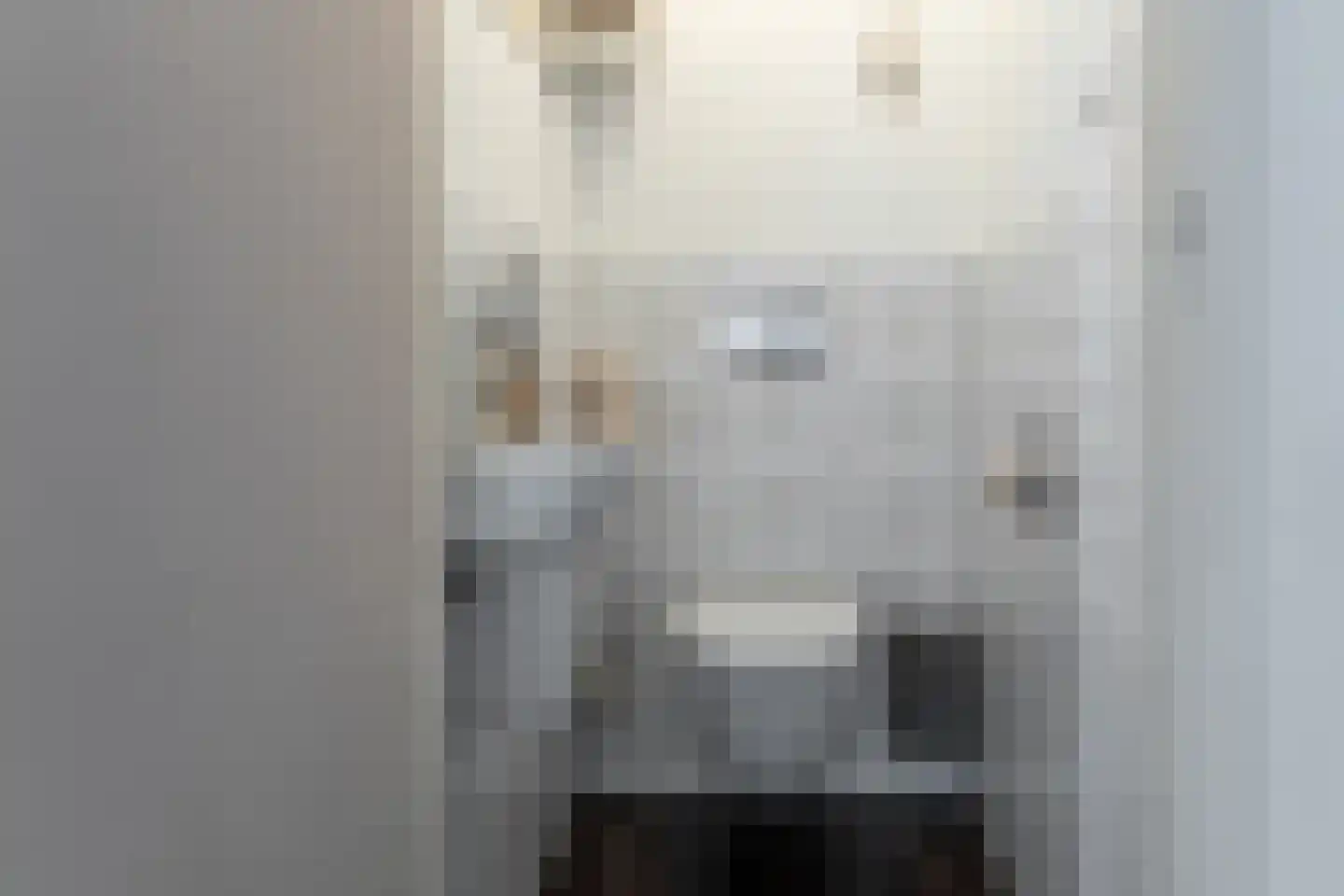 Hearewei 10 Tzummarum thumbnail 27
