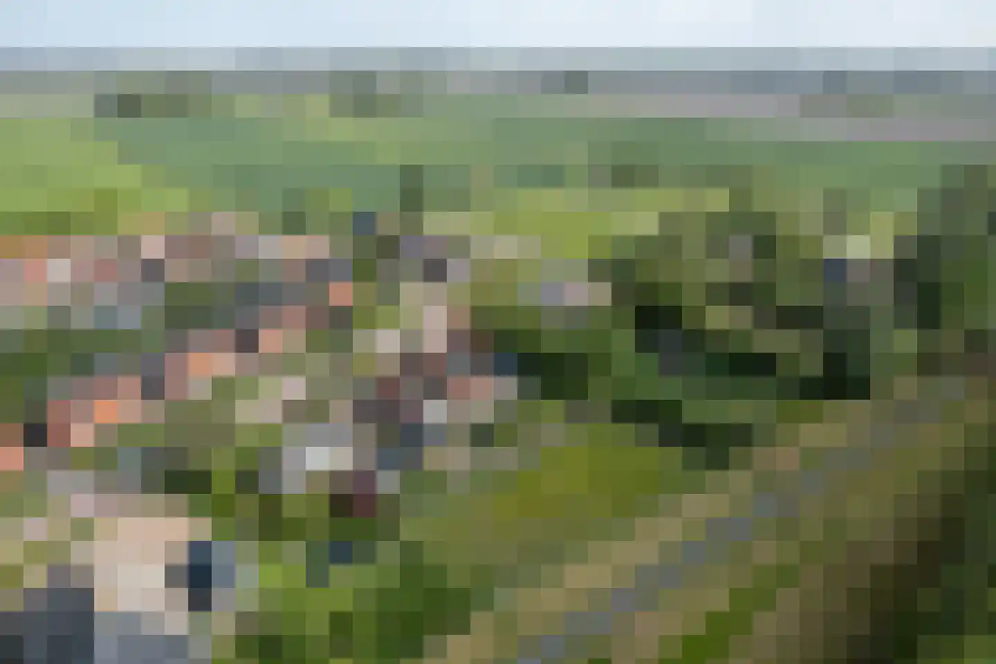 Hearewei 10 Tzummarum thumbnail 4