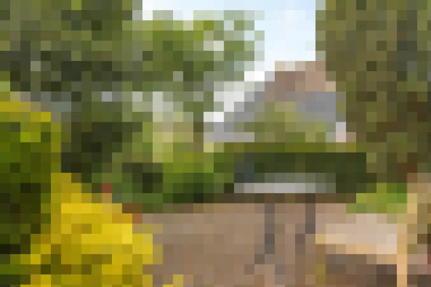 Hearewei 10 Tzummarum thumbnail 44