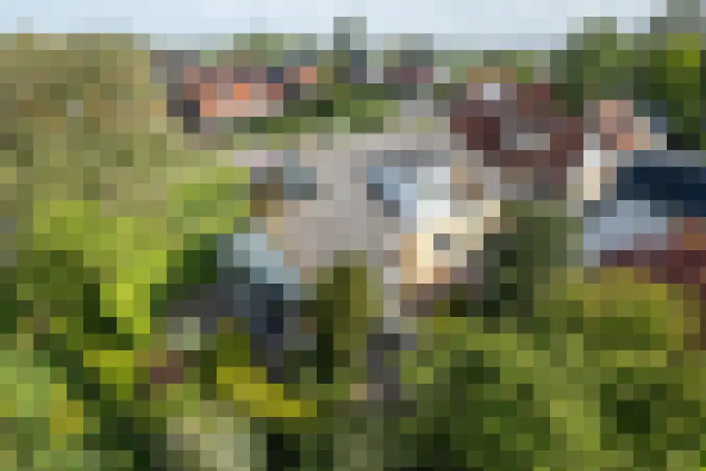 Hearewei 10 Tzummarum thumbnail 5