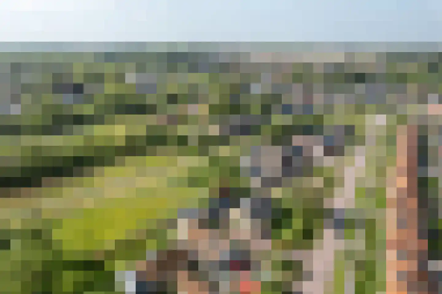 Hearewei 10 Tzummarum thumbnail 53