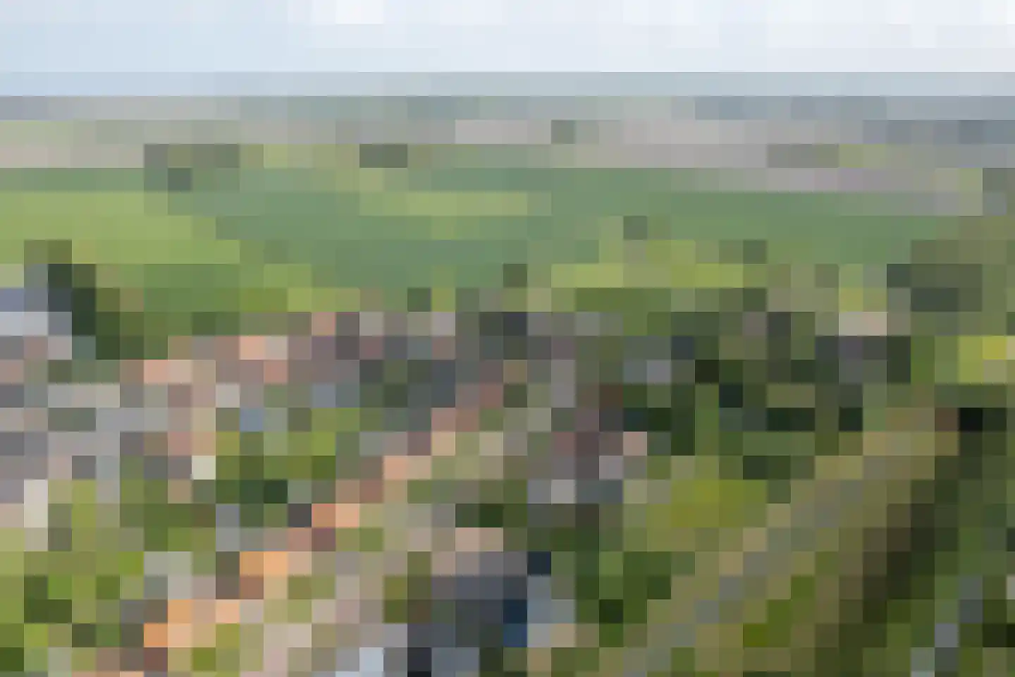 Hearewei 10 Tzummarum thumbnail 57
