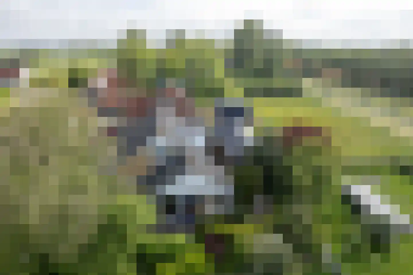 Hearewei 10 Tzummarum thumbnail 6