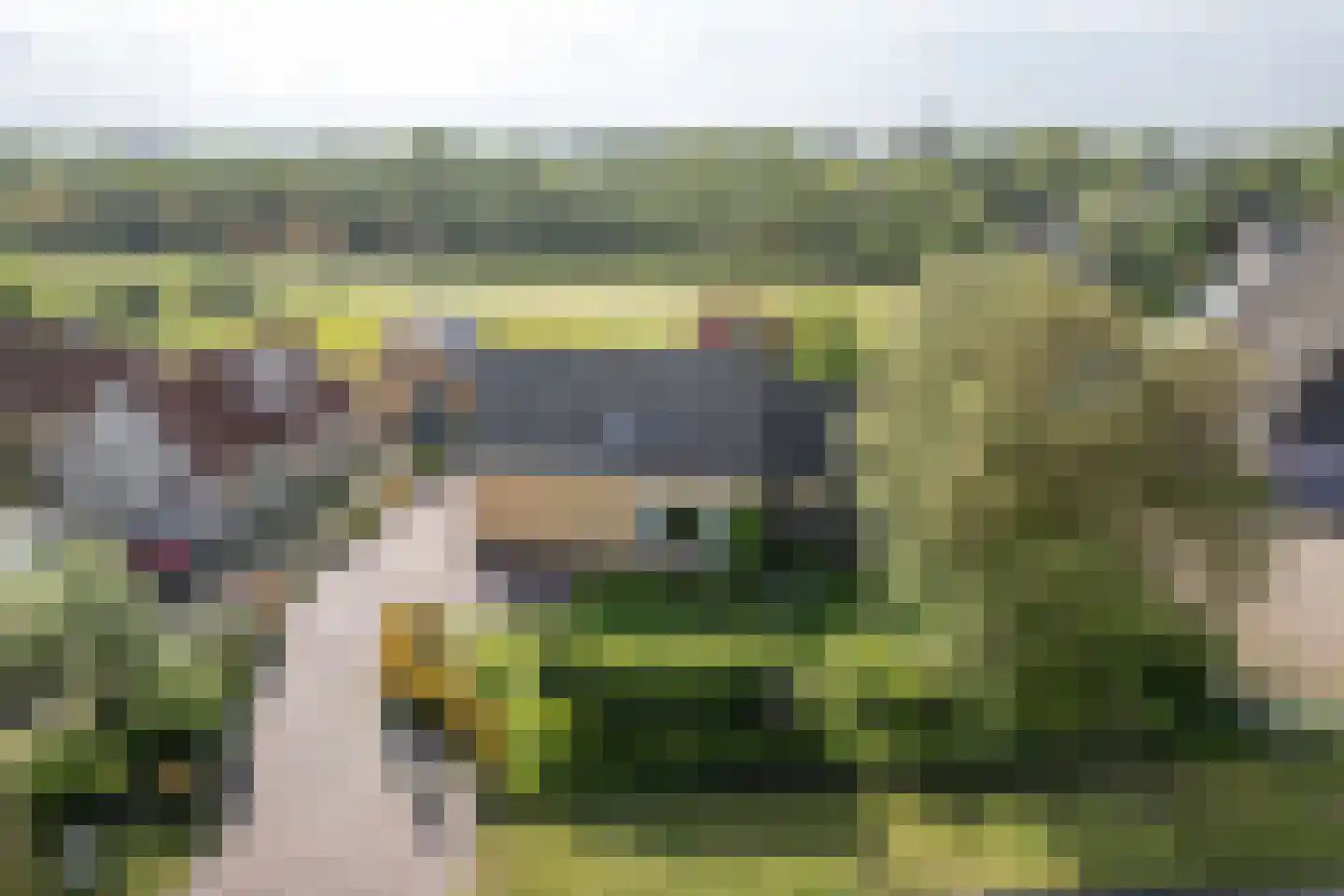 Hearewei 10 Tzummarum thumbnail 7