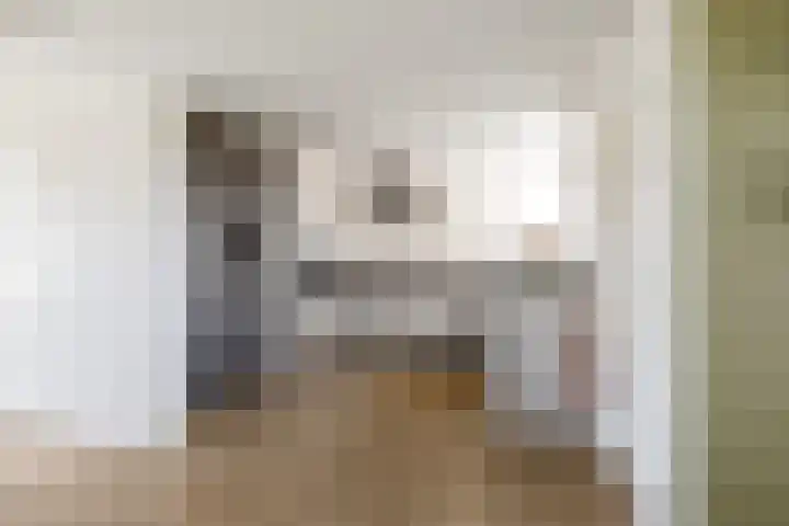 Hearewei 11 C Minnertsga thumbnail 13