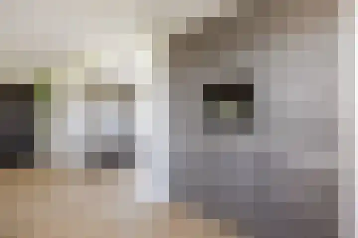 Hearewei 11 C Minnertsga thumbnail 18