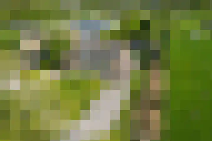 Hearewei 11 C Minnertsga foto 2