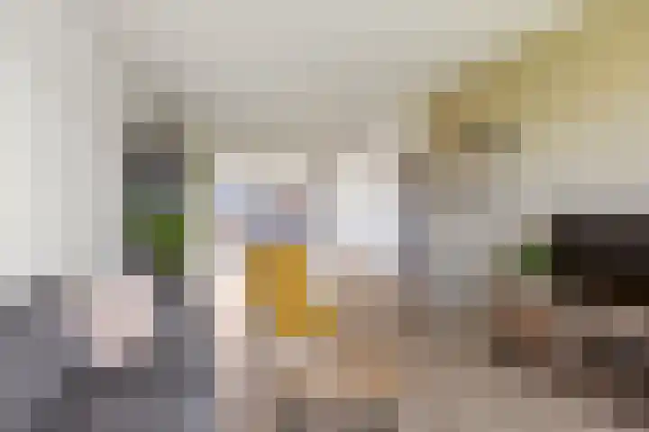 Hearewei 11 C Minnertsga thumbnail 25