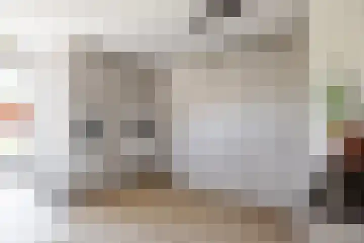 Hearewei 11 C Minnertsga thumbnail 29