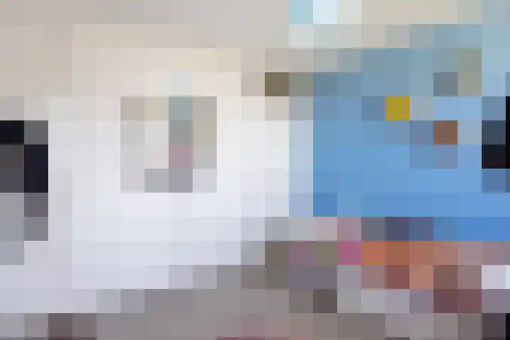 Hearewei 11 C Minnertsga thumbnail 35