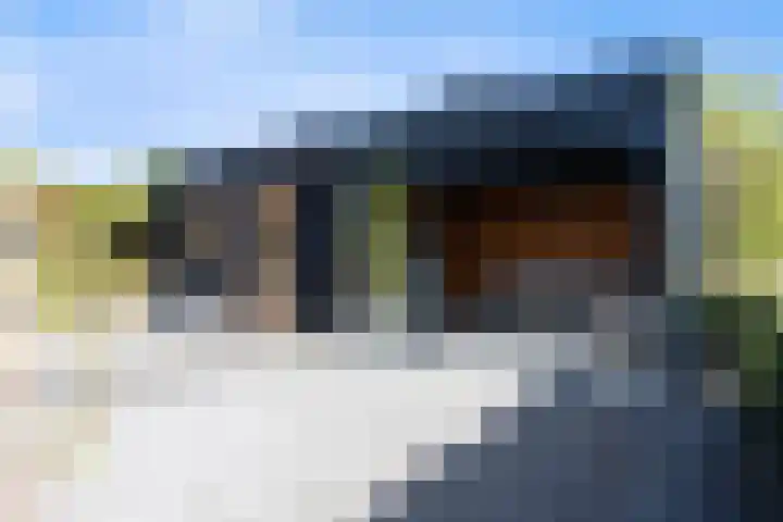 Hearewei 11 C Minnertsga thumbnail 54