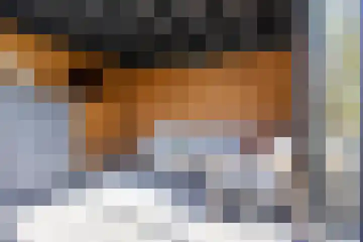 Hearewei 11 C Minnertsga thumbnail 56