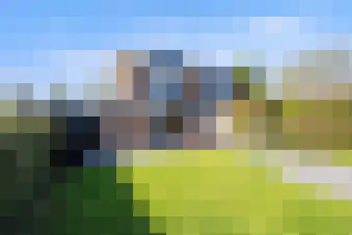 Hearewei 11 C Minnertsga thumbnail 60