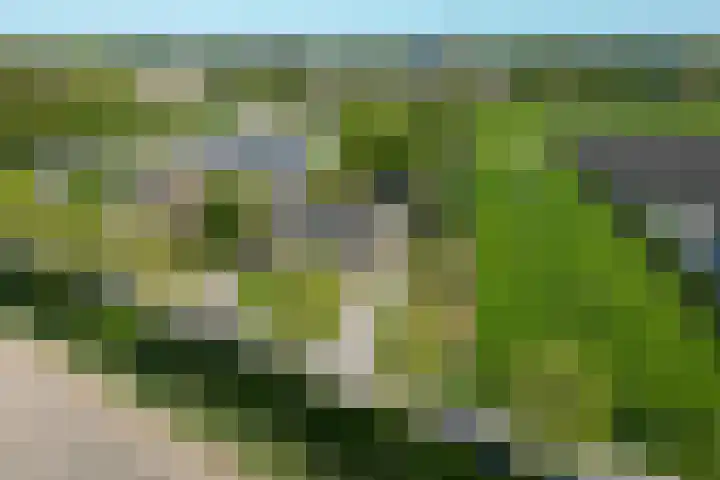Hearewei 11 C Minnertsga thumbnail 62