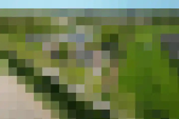 Hearewei 11 C Minnertsga thumbnail 63