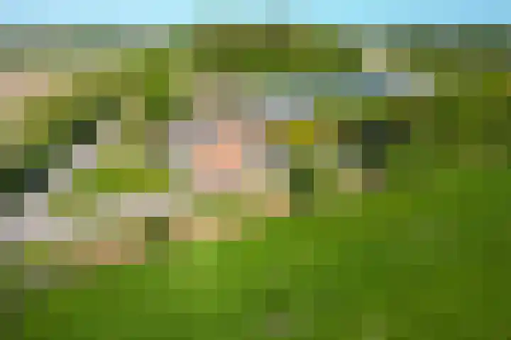 Hearewei 11 C Minnertsga thumbnail 64