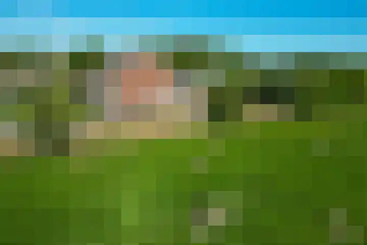 Hearewei 11 C Minnertsga thumbnail 65