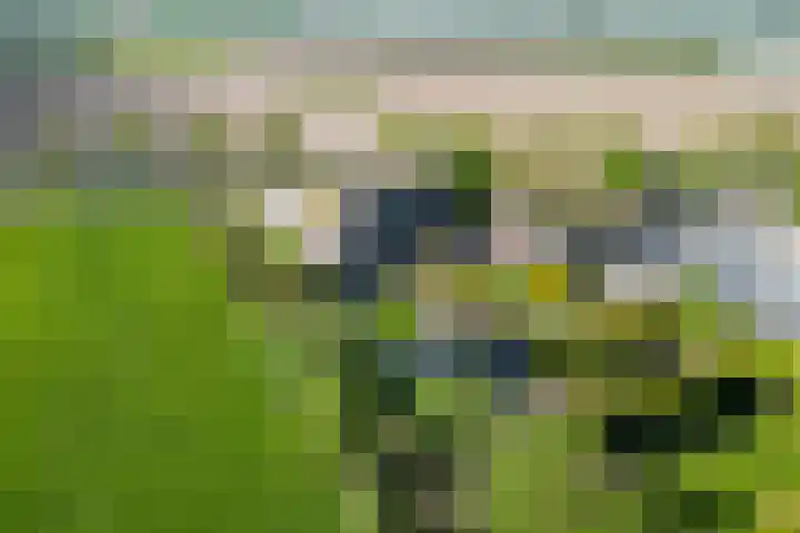 Hearewei 11 C Minnertsga thumbnail 66