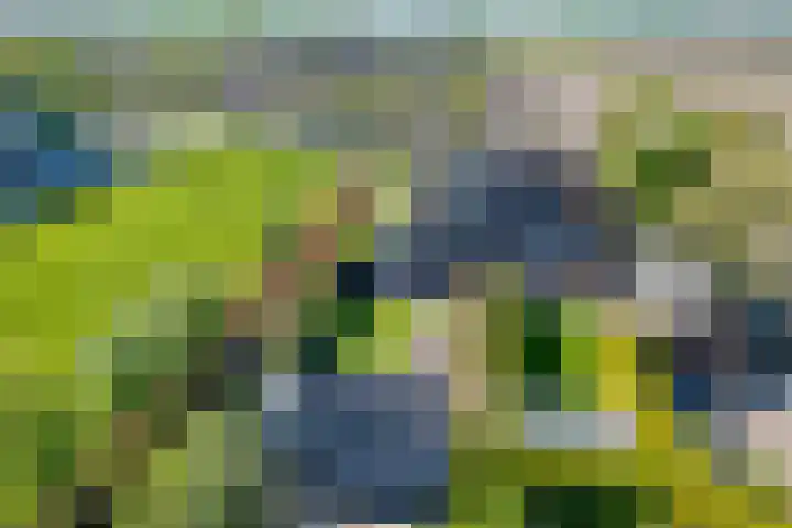 Hearewei 11 C Minnertsga thumbnail 67