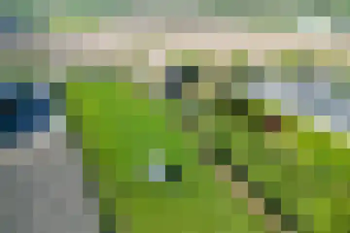 Hearewei 11 C Minnertsga thumbnail 68