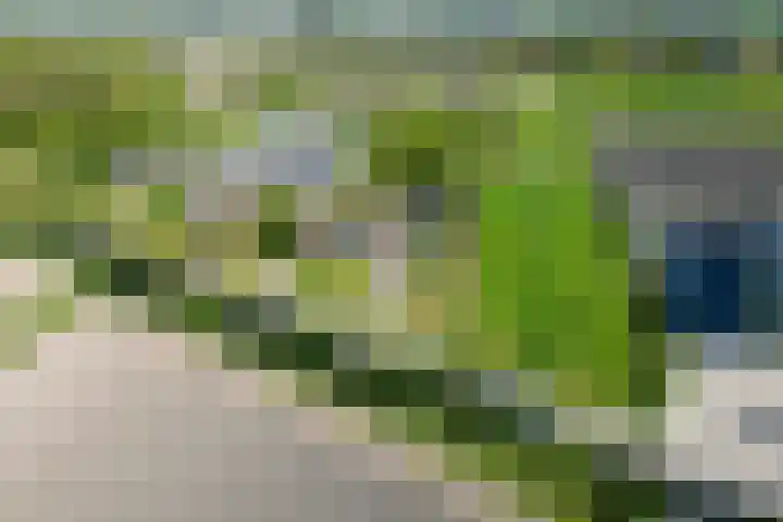 Hearewei 11 C Minnertsga thumbnail 69