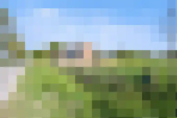 Hearewei 11 C Minnertsga thumbnail 70