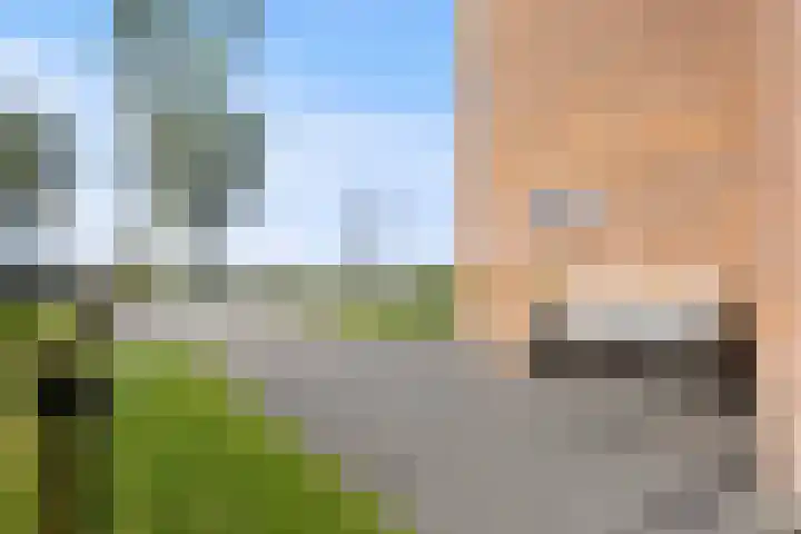 Hearewei 11 C Minnertsga thumbnail 74