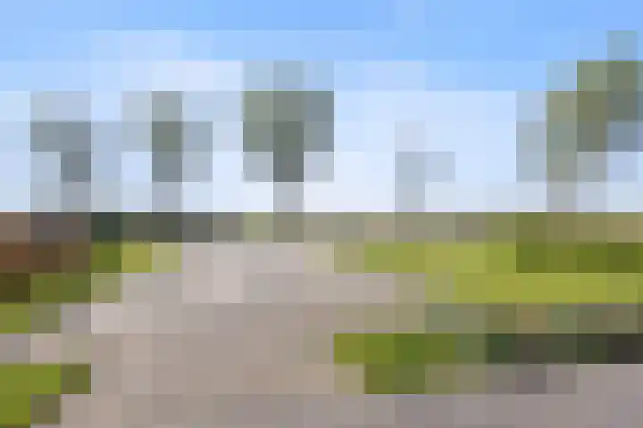 Hearewei 11 C Minnertsga thumbnail 75