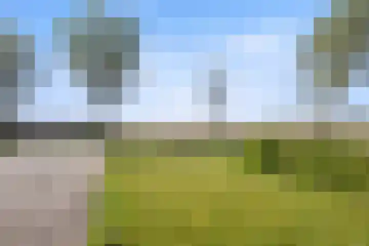 Hearewei 11 C Minnertsga thumbnail 76