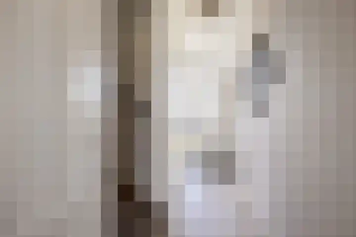 Hearewei 11 C Minnertsga thumbnail 8
