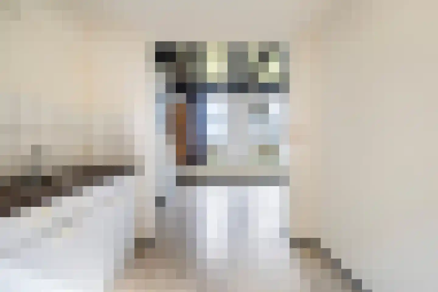 Hearewei 2 Firdgum thumbnail 14