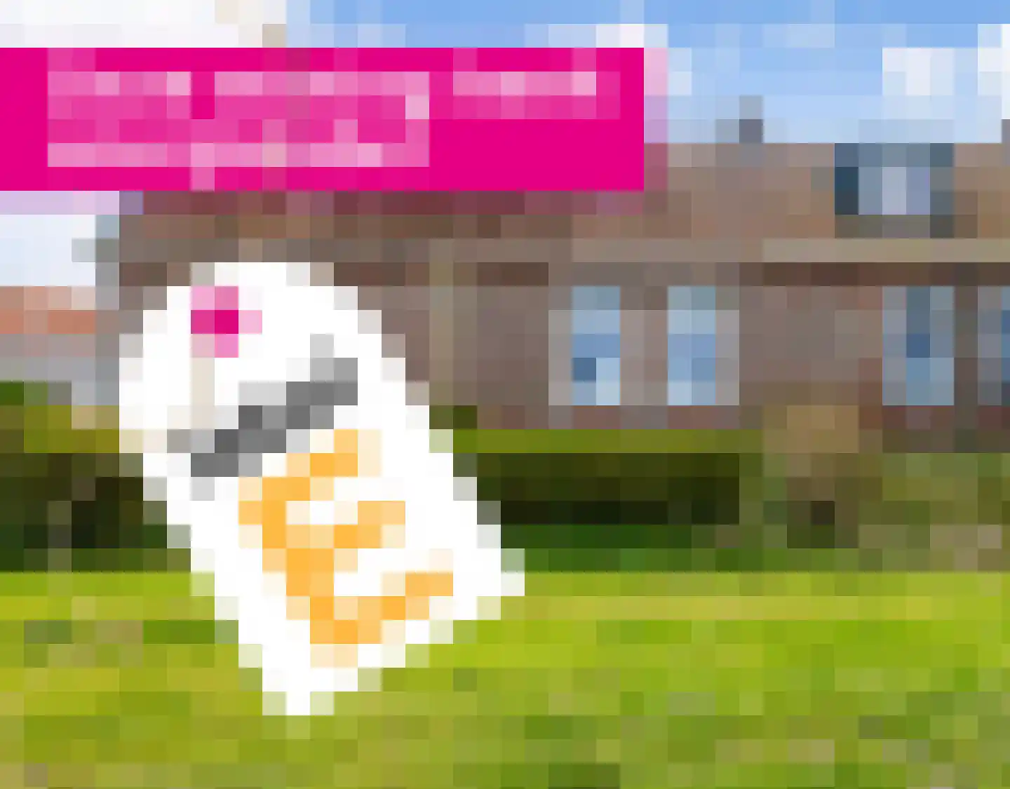 Hearewei 2 Firdgum thumbnail 27