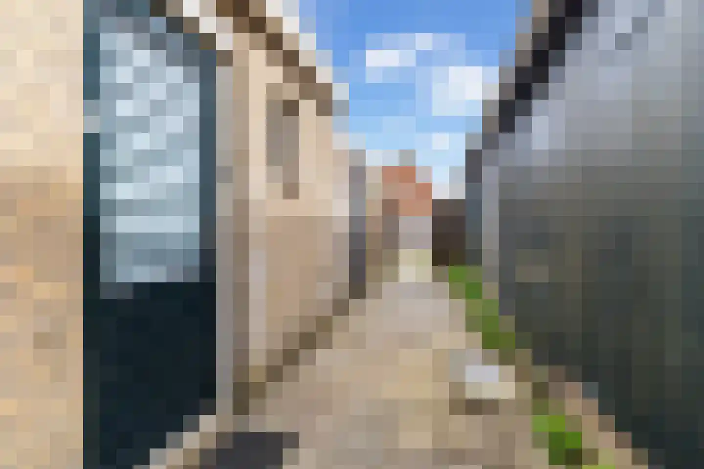 Hearewei 2 Firdgum thumbnail 4