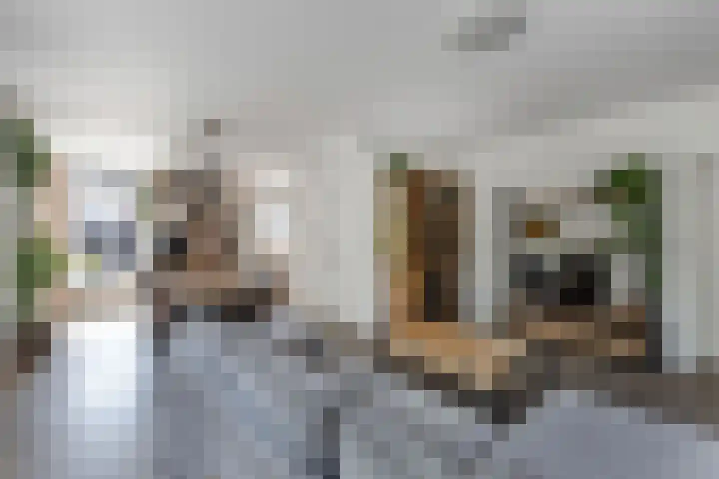 Hearewei 2 Tzummarum thumbnail 15