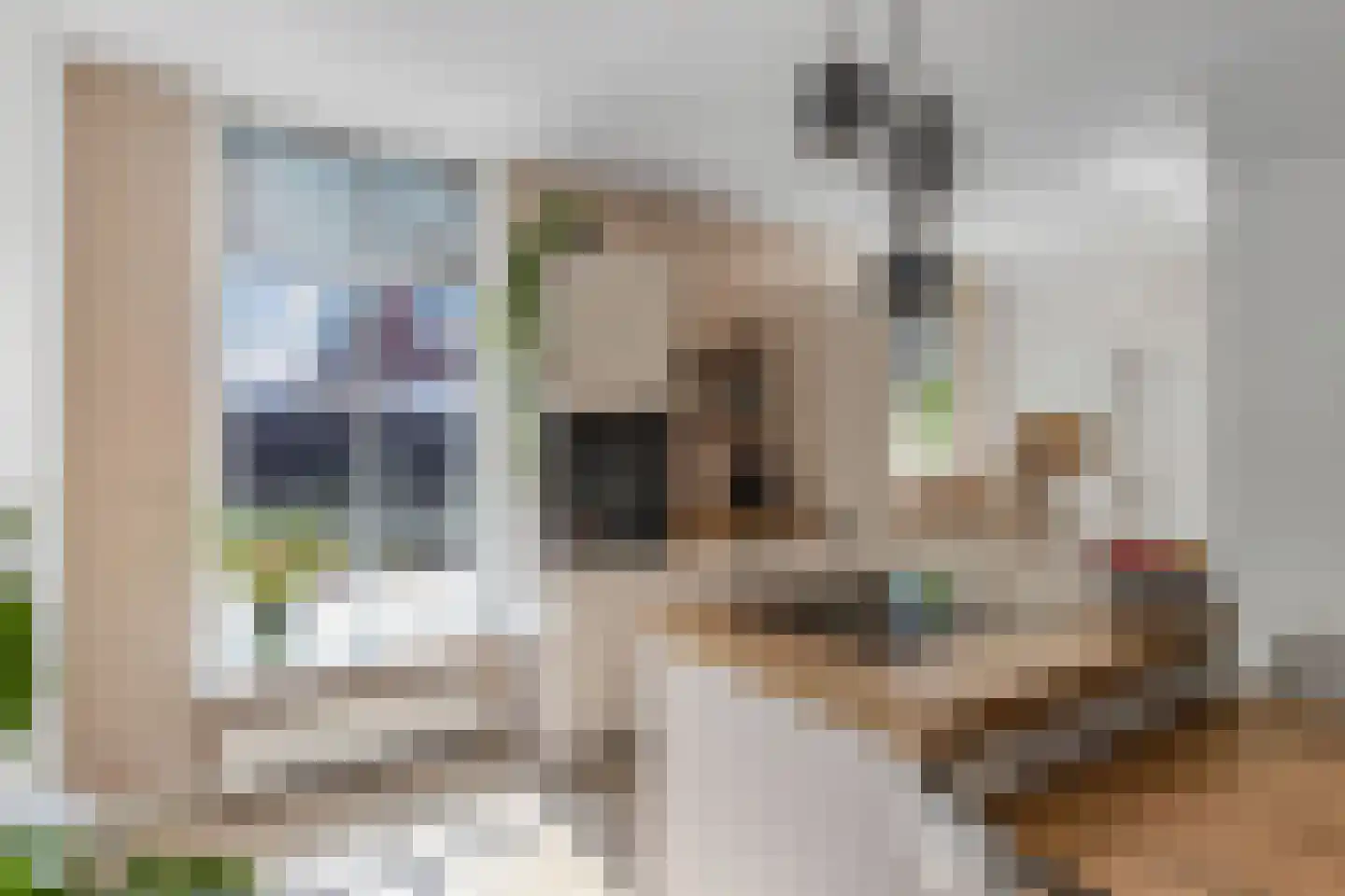 Hearewei 2 Tzummarum thumbnail 18