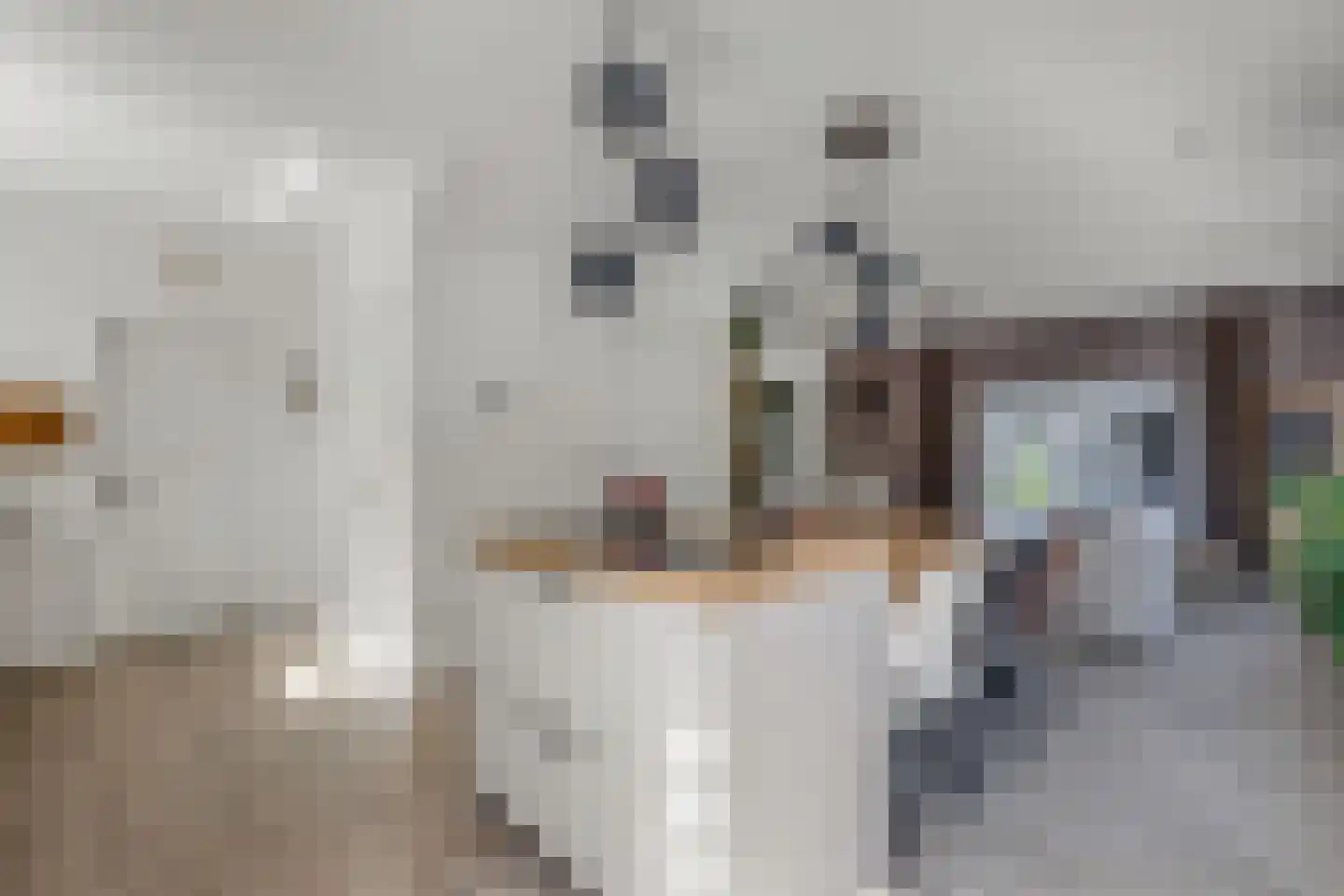 Hearewei 2 Tzummarum thumbnail 21