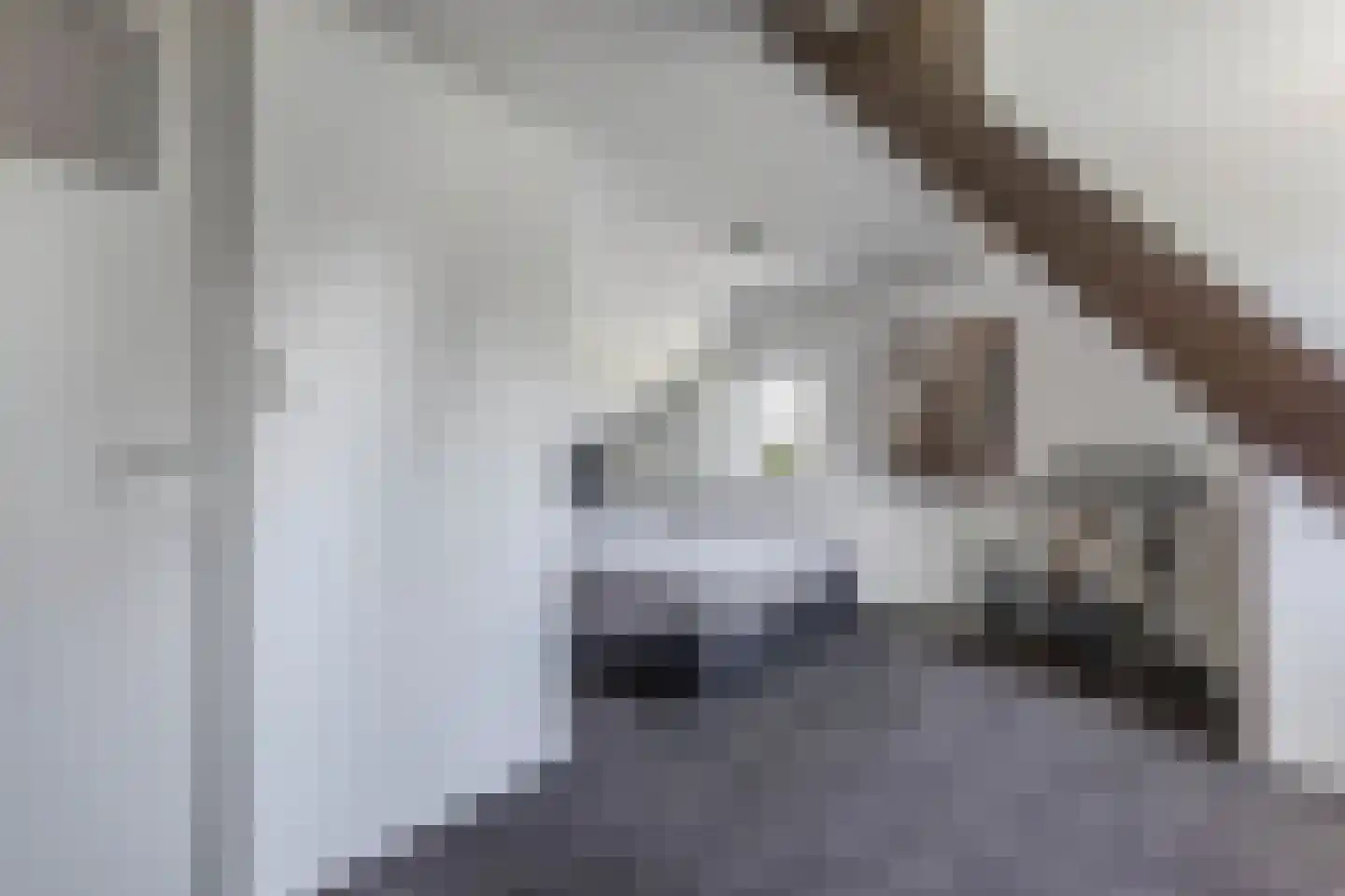 Hearewei 2 Tzummarum thumbnail 32