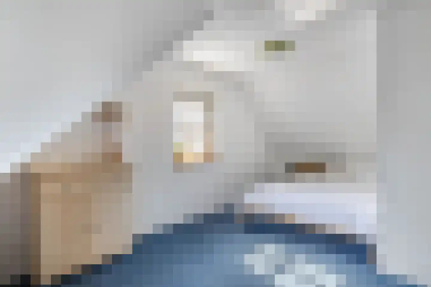 Hearewei 2 Tzummarum thumbnail 35
