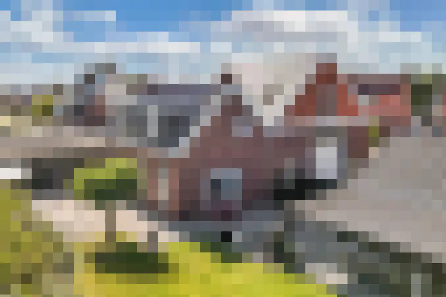 Hearewei 2 Tzummarum thumbnail 4