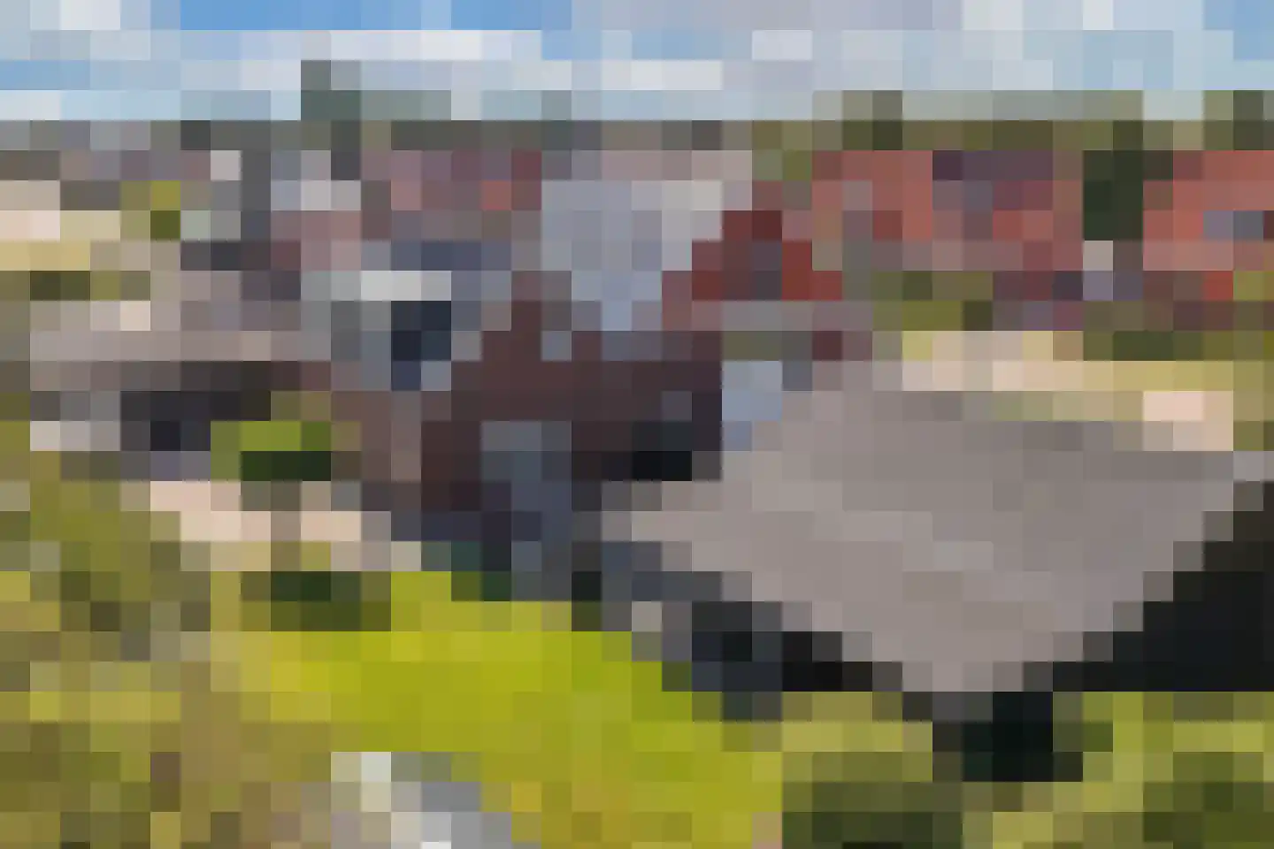 Hearewei 2 Tzummarum thumbnail 44