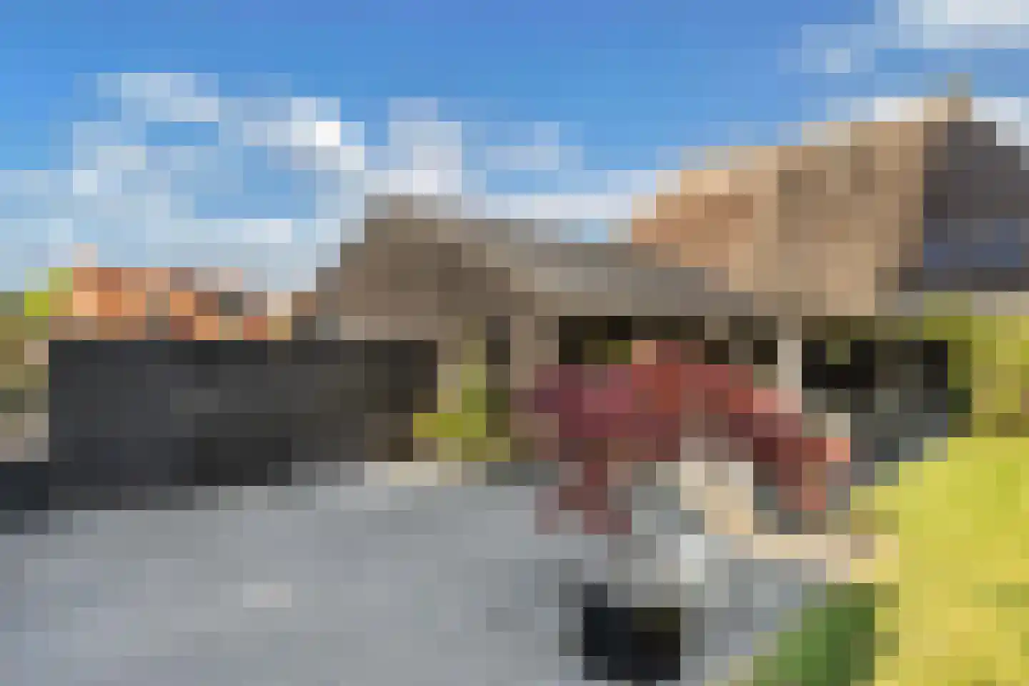 Hearewei 2 Tzummarum thumbnail 47