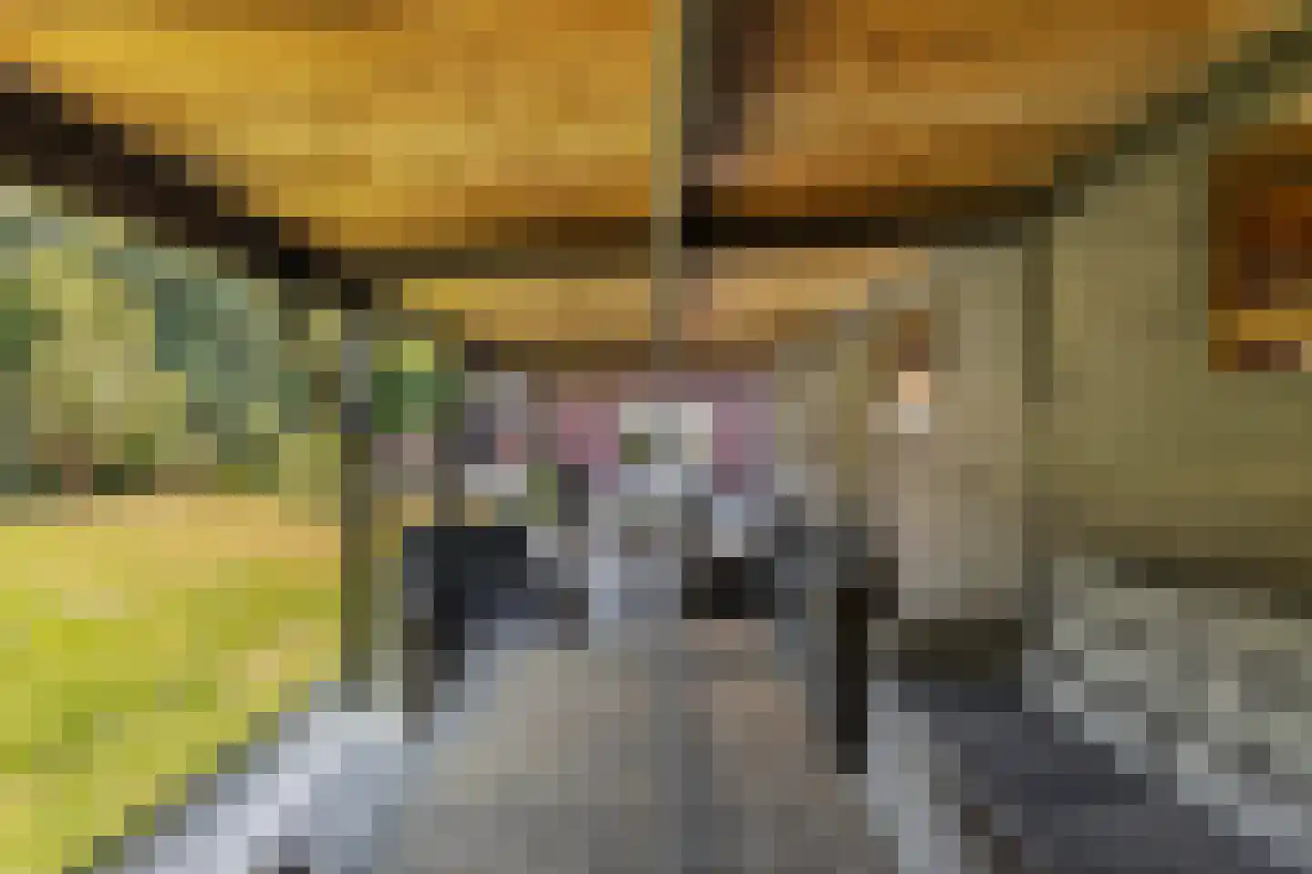 Hearewei 2 Tzummarum thumbnail 52