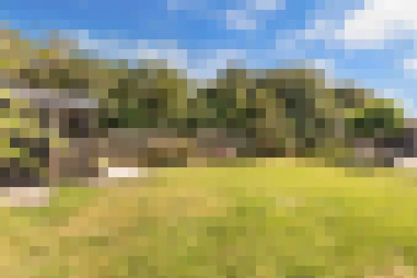 Hearewei 2 Tzummarum thumbnail 54